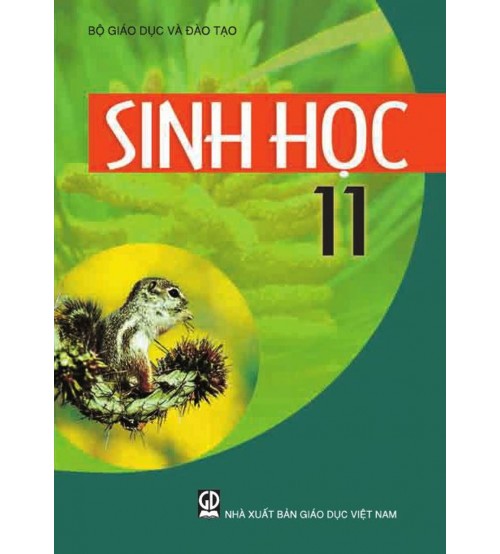 bo-sach-giao-khoa-lop-11-10