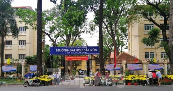 muon-lam-ca-si-thi-hoc-truong-nao-5