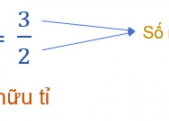 so-huu-ti-1